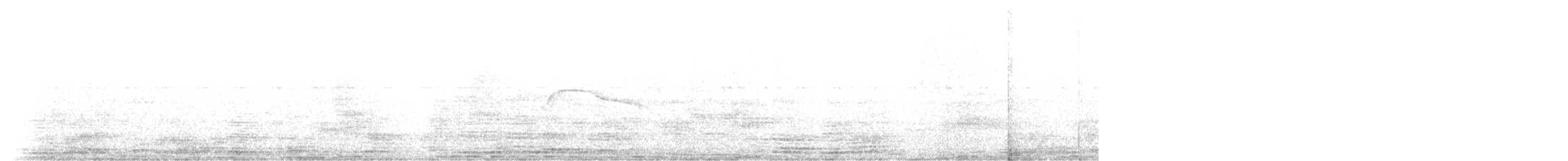 White-tailed Nightjar - ML631611160
