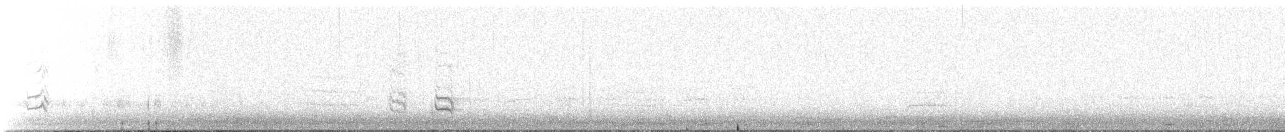 Austral Parakeet - ML631612552