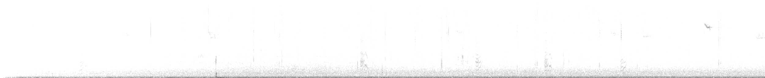 Austral Parakeet - ML631612556