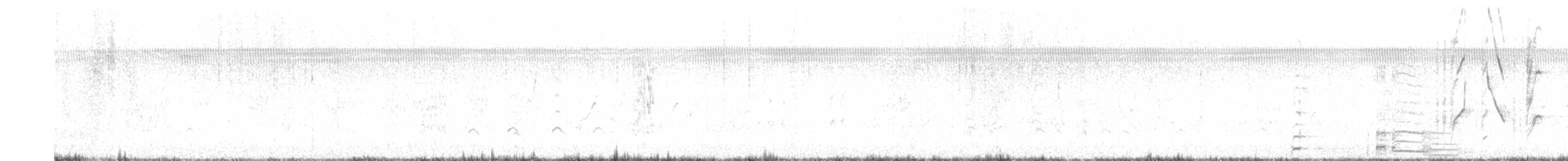 Coscoroba Swan - ML631615980