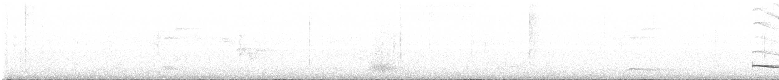 Long-tailed Manakin - ML631616273