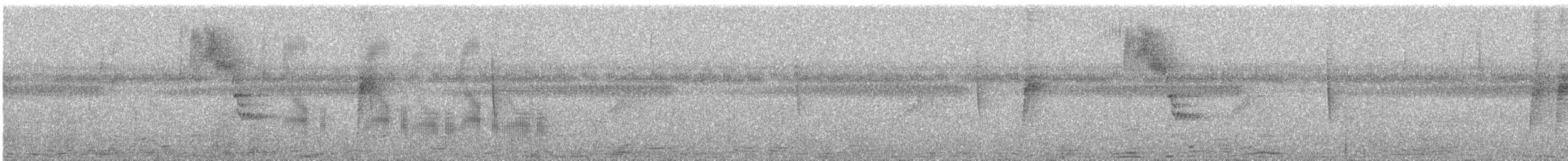 Black-tailed Tityra - ML631616821