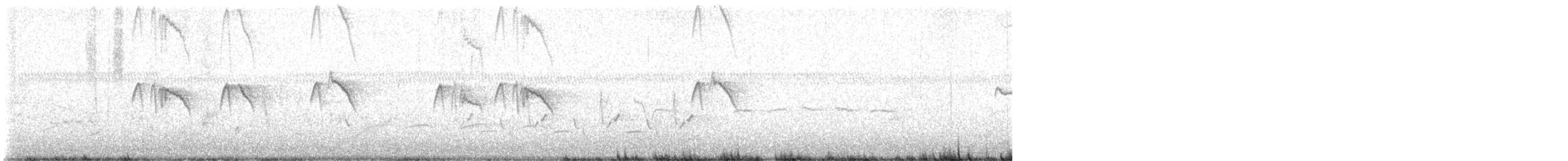 Black Phoebe - ML631617484
