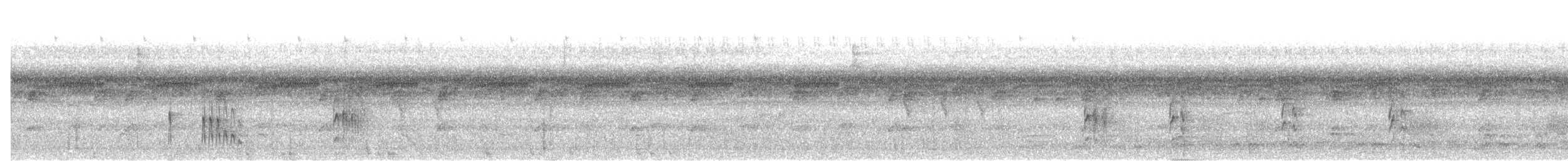 Серощёкий тоди-мухолов - ML631625692