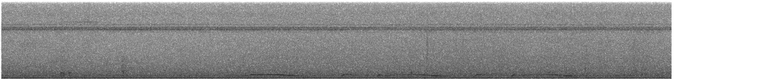 Pale-vented Pigeon - ML631626297