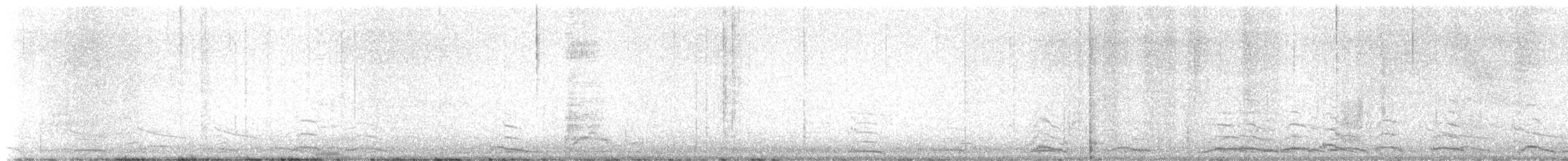Cygne siffleur - ML631629428