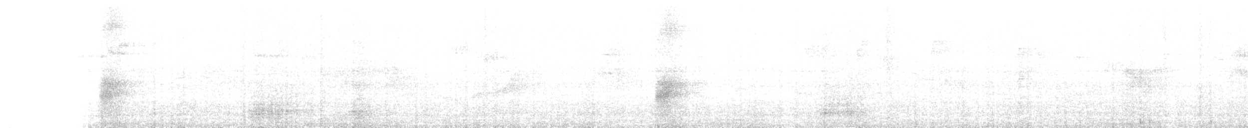 Masked Tityra - ML631632634
