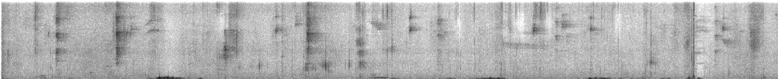 Smoky-brown Woodpecker - ML631646174