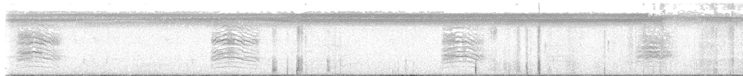 Katzenspottdrossel - ML631646699