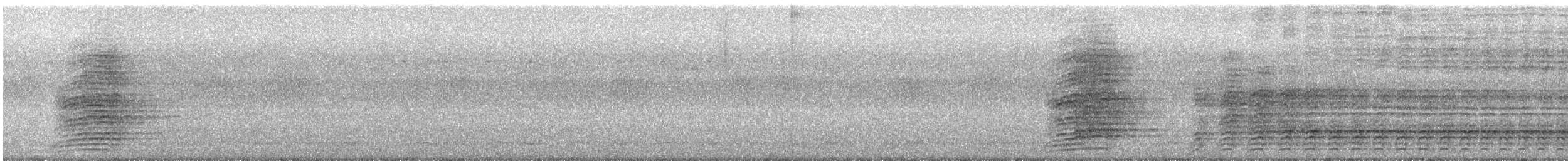 Sri Lanka Gray Hornbill - ML631649437