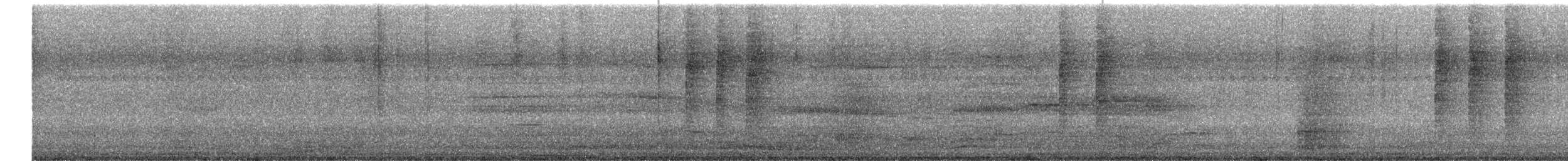 White-rumped Shama - ML631653080