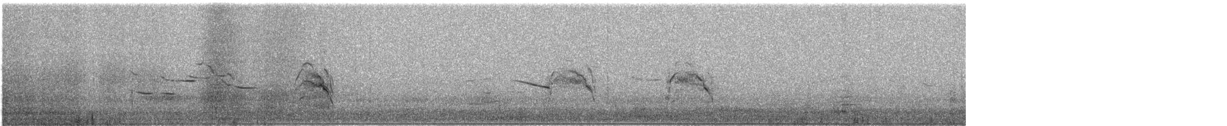 Northern Harrier - ML631655526
