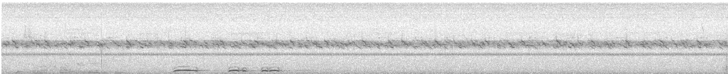 לילית מדבר - ML631656713