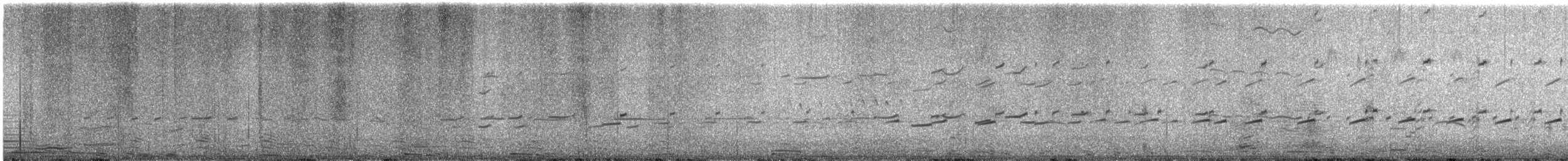 Magellanic Oystercatcher - ML631658539