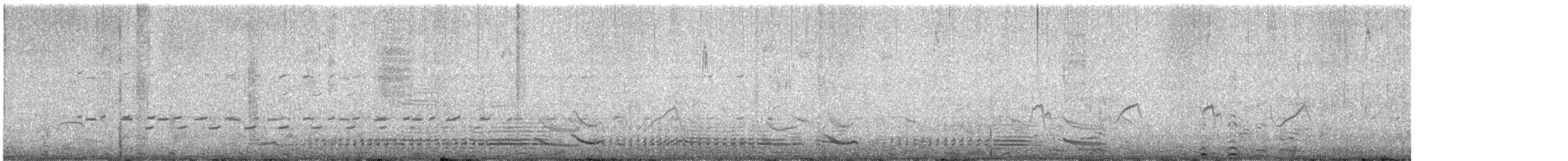 Magellanic Penguin - ML631658828