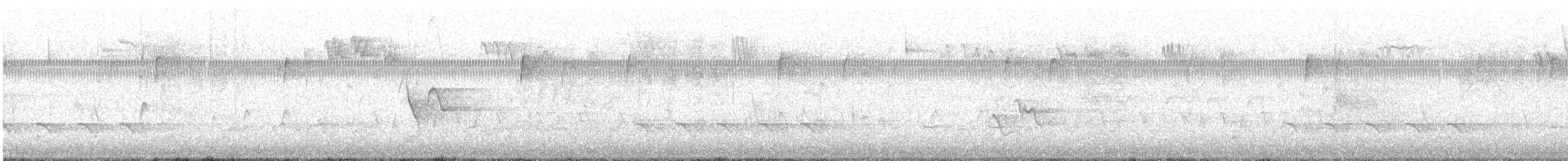 Blue-headed Vireo - ML631669337