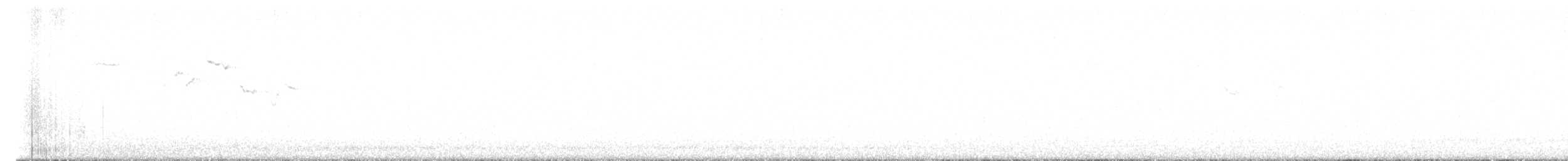 Brown Creeper - ML631671926