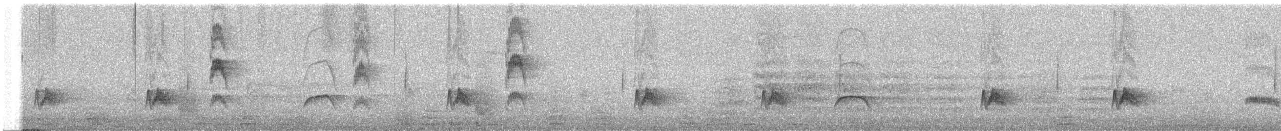 White-crested Elaenia (Chilean) - ML631675104