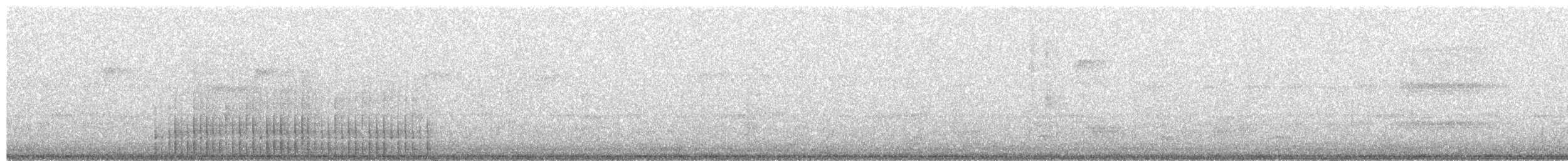 White-throated Woodpecker - ML631676200