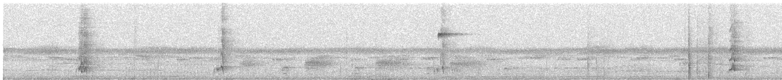 Pearly Parakeet - ML631676378