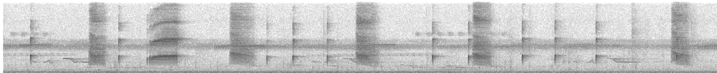 Snethlage's Tody-Tyrant - ML631676507