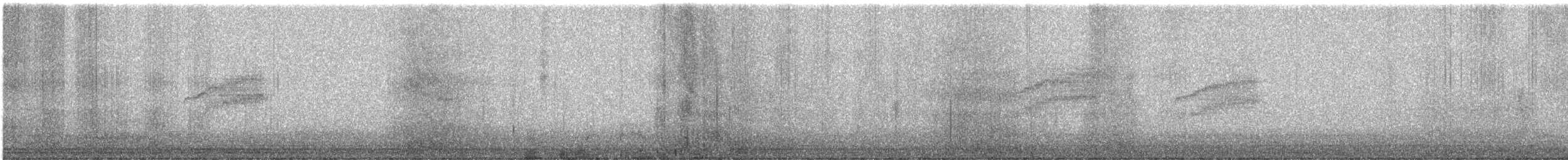 Tyranneau à sourcils blancs - ML631676826