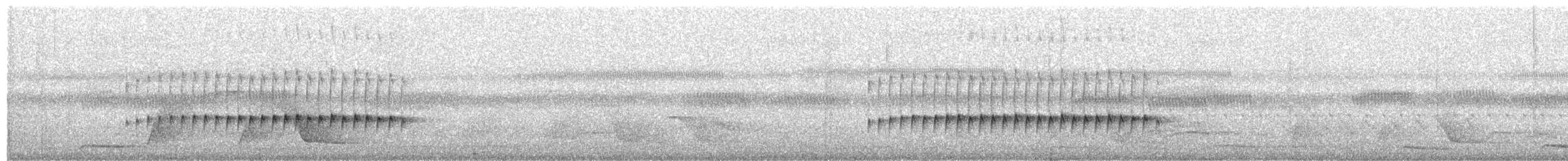 Long-billed Gnatwren - ML631677068