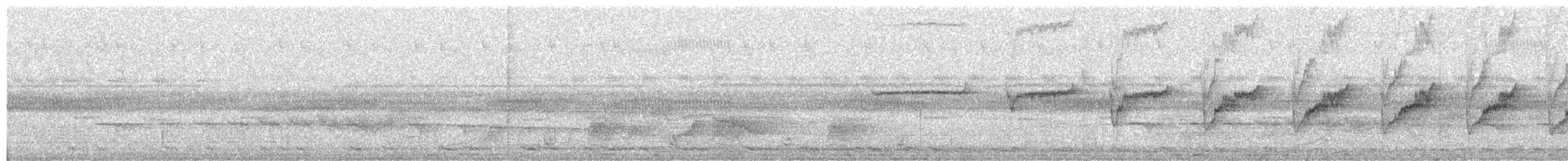 Plain-throated Antwren - ML631677257