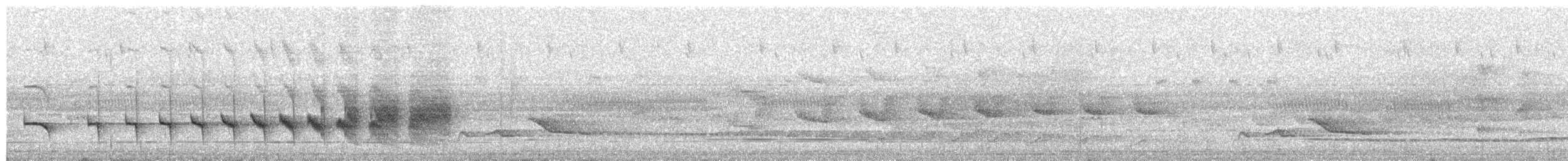 Spix's Warbling-Antbird - ML631677263