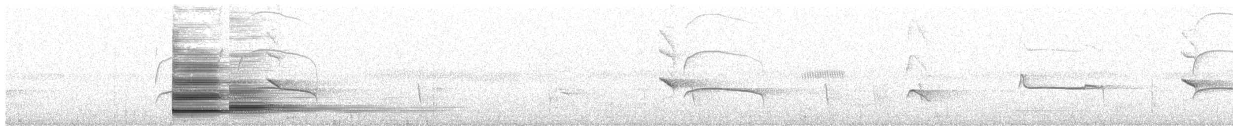 White Bellbird - ML631677277