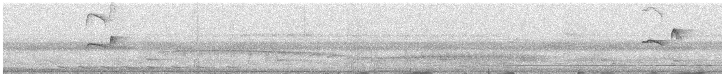 Ruddy-tailed Flycatcher - ML631677292