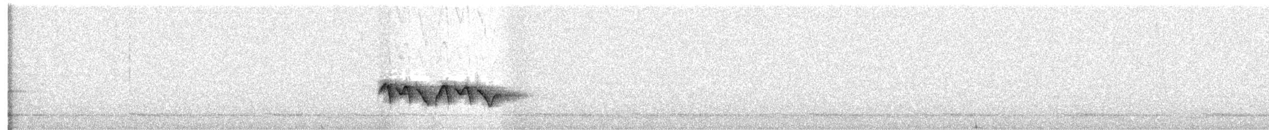 Lisu Wren-Babbler (undescribed form) - ML631680888