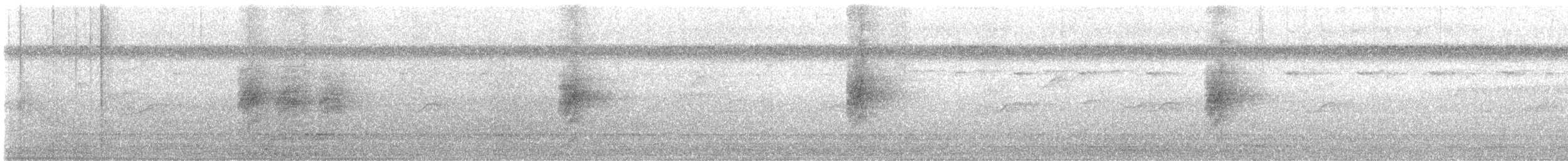 Indian Paradise-Flycatcher - ML631685925