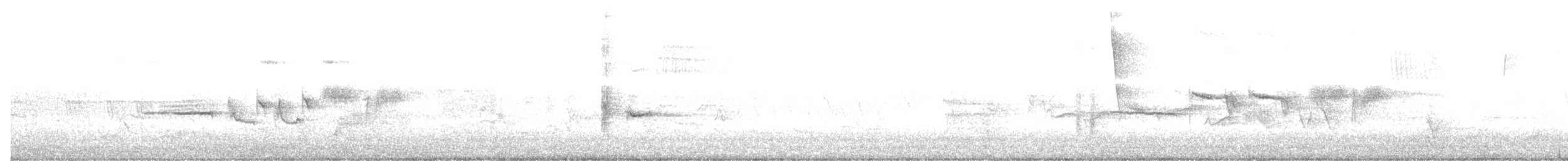 White-crowned Sparrow - ML631685942