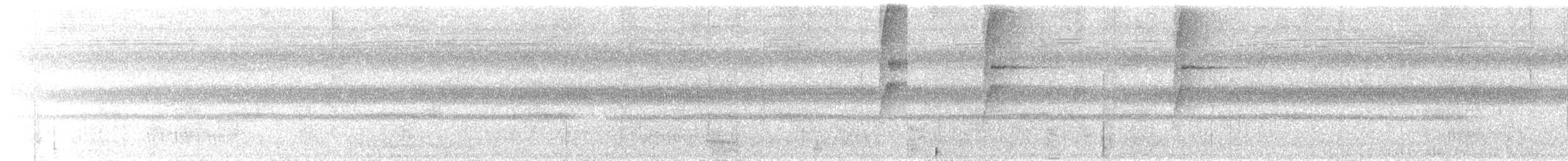 Orange-eyed Flatbill - ML631686208