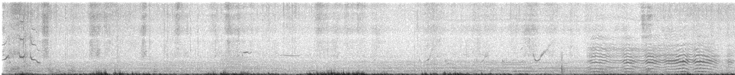 King Penguin - ML631692028