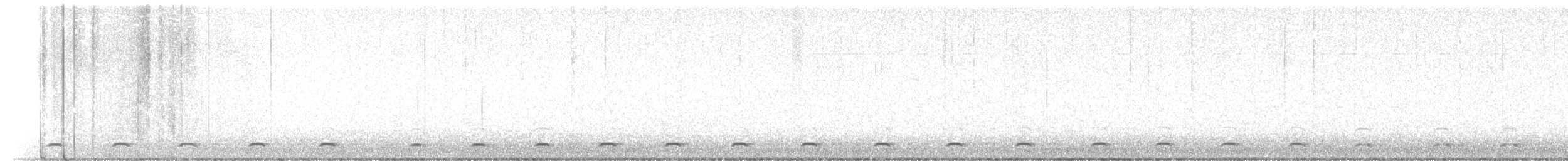 Northern Saw-whet Owl - ML631692910