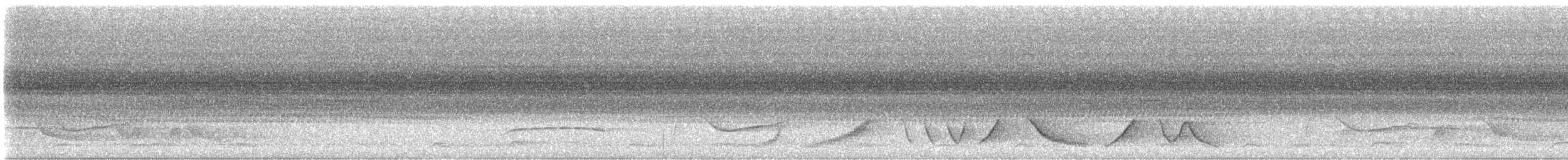 Grammatoptile strié - ML631694806