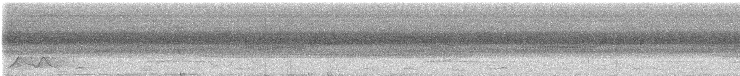 Grammatoptile strié - ML631694807