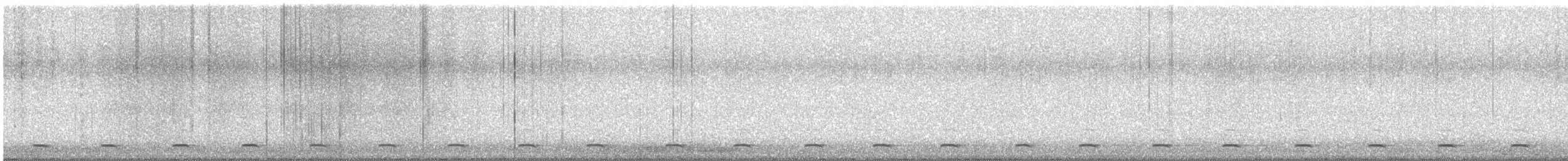 Northern Saw-whet Owl - ML631695219