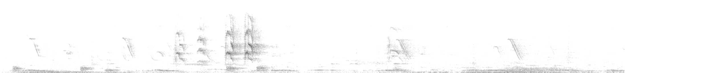 Rock Pigeon (Feral Pigeon) - ML631703797