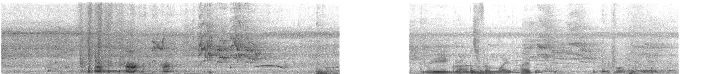 White Ibis - ML631704919