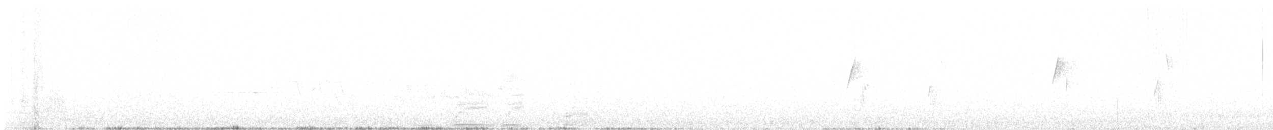 granempid - ML631709828