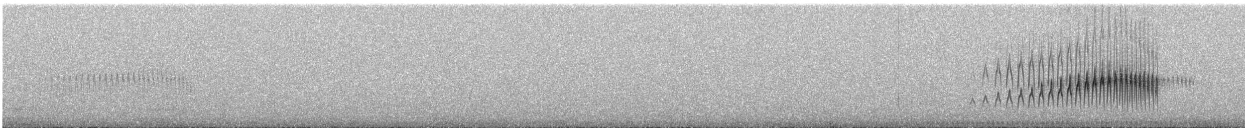 Streak-backed Canastero (Puna) - ML631710994