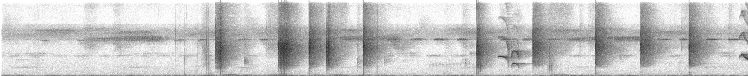 White-bearded Manakin - ML631717141