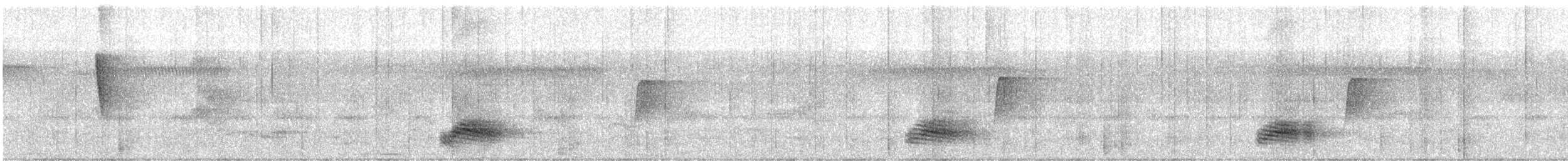 Lance-tailed Manakin - ML631720635