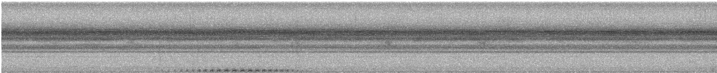 Band-bellied Owl - ML631721530