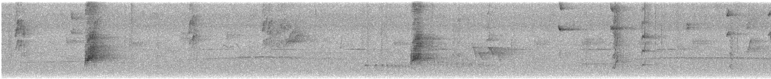 Пласкодзьоб західний - ML631728860