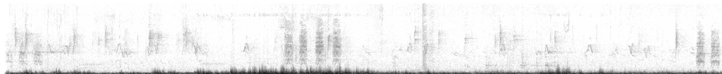Island Scrub-Jay - ML631732322