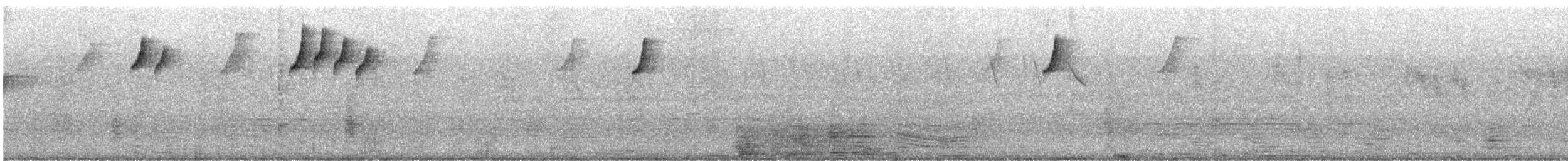Rufous-breasted Hermit - ML631733633